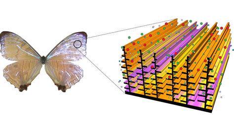  Kroto nanostruttura: Il futuro della tecnologia aerospaziale e dell’elettronica avanzata?