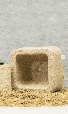 Mycelium Material: A Sustainable Solution for Acoustic Insulation and Packaging Design!