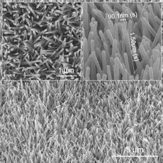  Tungsten Oxide Nanorods: Rivoluzionando le Batterie di Nuova Generazione e l'Efficace Fotocatalisi?