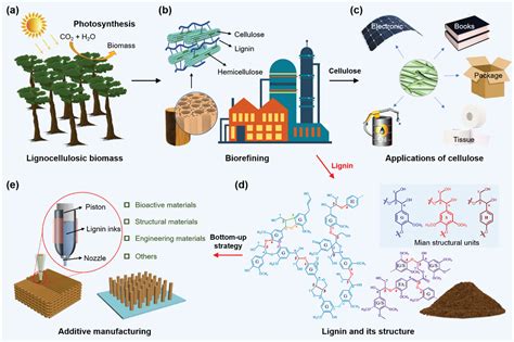 Lignin Applications and Its Future in Sustainable Materials Science!