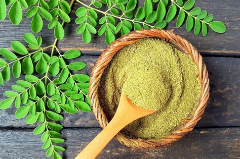  Moringa: Un potente superfood e una straordinaria fonte di olio per la cosmetica!