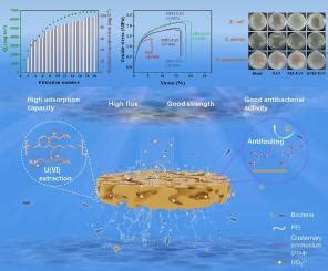 Quaternized Polyethyleneimine: Il Gigante Invisibile della Separazione Membranare e del Trattamento dell'Acqua!